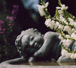 Ange en b�ton